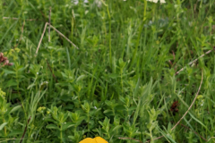 PXL_20220524_081545725