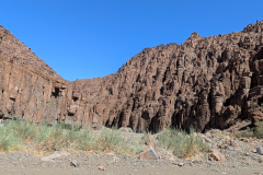 PXL_20241119_075916777