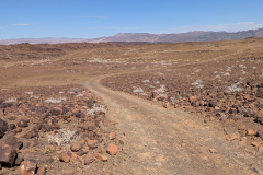 PXL_20241119_080520099.MP_