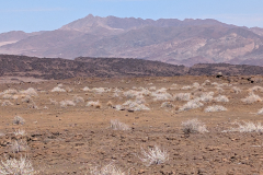 PXL_20241119_081016478