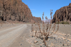 PXL_20241119_084359269