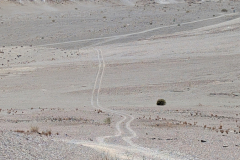 PXL_20241119_091558935