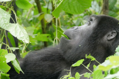 Uganda_6