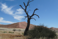 namib
