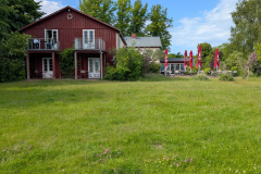 PXL_20250526_145633284