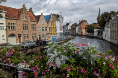 PXL_20240913_091257602