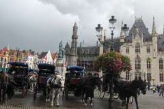 PXL_20240913_110744942