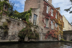 PXL_20240913_121928179.MP_