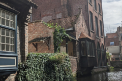 PXL_20240913_123641569