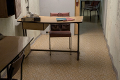 PXL_20241015_121653722.MP_