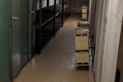 PXL_20241015_124417094.MP_