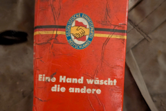 PXL_20241015_125743717