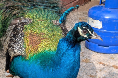 PXL_20251024_061920201