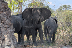 PXL_20251025_125941073