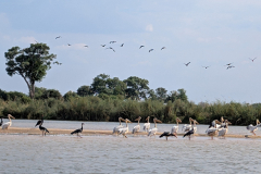 PXL_20251025_133418802