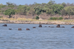 PXL_20251025_140951192