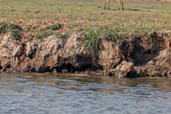 PXL_20251025_141335256