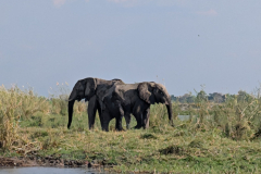 PXL_20251025_142656229