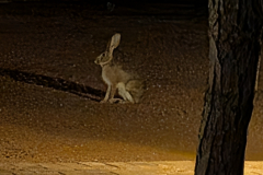 PXL_20251107_200023945