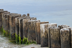 PXL_20250527_134622388