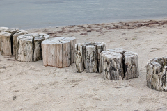 PXL_20250527_134628748.MP_