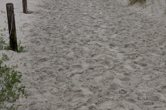 PXL_20250528_115953468.MP_