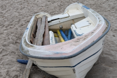 PXL_20250528_121042819.MP_