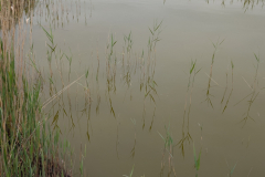 PXL_20250528_151026159.MP_