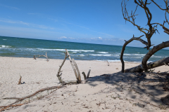 PXL_20250529_094130092