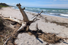 PXL_20250529_095826277.MP_