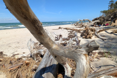 PXL_20250529_101741313