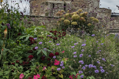 PXL_20240916_114803807