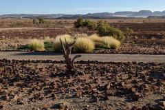 Twyfelfontein_1