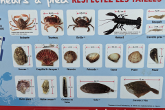 PXL_20240918_114345819