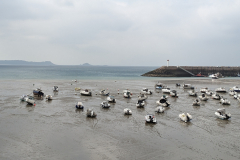 PXL_20240918_115115453