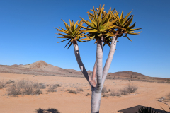 PXL_20241121_151052103.MP_