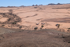 PXL_20241122_071944602.MP_