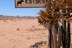 PXL_20241122_083637818.MP_