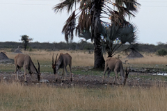 PXL_20251103_160111826