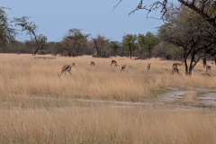 PXL_20251103_163809013