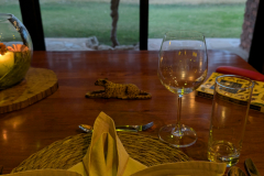 PXL_20251103_170316591