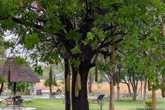 PXL_20251104_070927551