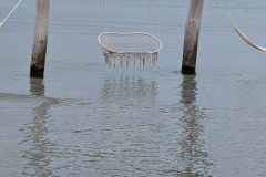 PXL_20250527_084315953