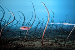 PXL_20240911_084854511