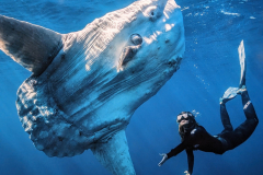 PXL_20240911_085711468