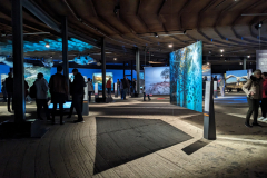 PXL_20240911_104531741