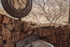 PXL_20211117_074004402