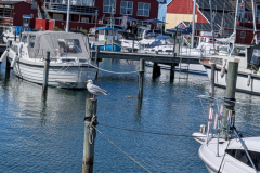 PXL_20260521_132413521