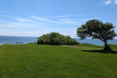 PXL_20260524_110220139
