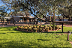 PXL_20251106_154225699